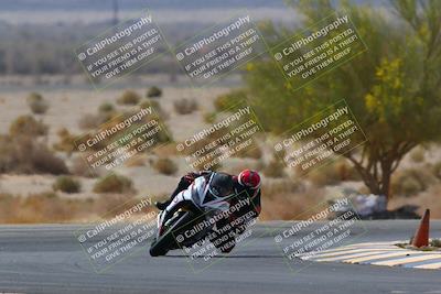 media/Apr-10-2022-SoCal Trackdays (Sun) [[f104b12566]]/Turn 5 Tree of Life (1040am)/